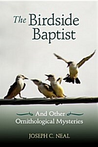 The Birdside Baptist (Paperback)