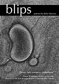 Blips (Paperback)