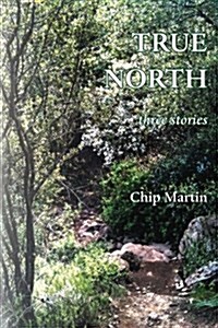 True North: Three Stories (Paperback)