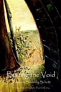 Baiting the Void (Paperback)