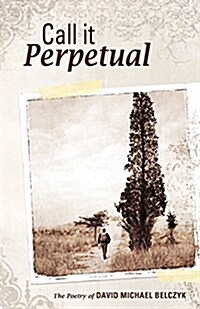 Call It Perpetual (Paperback)