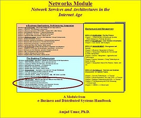 E-Business and Distributed Systems Handbook: Networks Module (Paperback)