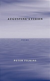 Augustines Vision (Paperback)