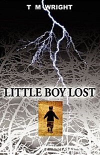 Little Boy Lost (Paperback)