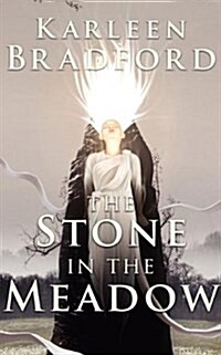 The Stone in the Meadow (Paperback)