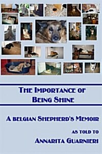 The Importance of Being Shine (Paperback)