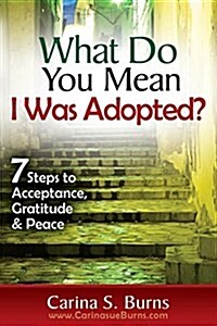 What Do You Mean I Was Adopted? 7 Steps to Acceptance, Gratitude & Peace (Paperback)