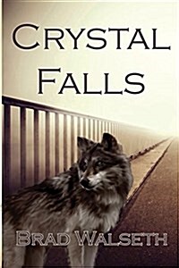 Crystal Falls (Paperback)