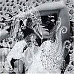 [수입] Bjork - Vespertine (SACD)