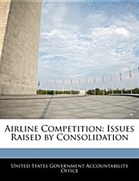 Airline Competition: Issues Raised by Consolidation (Paperback)