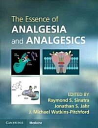 The Essence of Analgesia and Analgesics (Paperback)