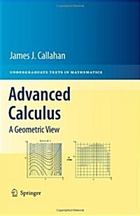 Advanced Calculus: A Geometric View (Hardcover)
