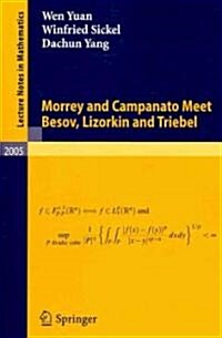 Morrey and Campanato Meet Besov, Lizorkin and Triebel (Paperback)