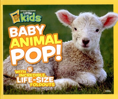 Baby Animal Pop!: With 5 Incredible, Life-Size Foldouts (Hardcover)