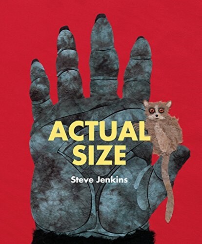 [중고] Actual Size (Paperback)