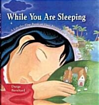 While You Are Sleeping: A Lift-The-Flap Book of Time Around the World (Hardcover)