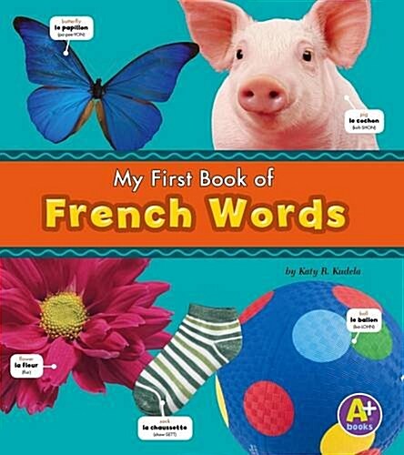French Words (Paperback)