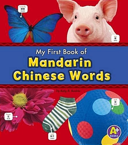 MANDARIN CHINESE WORDS (Paperback)