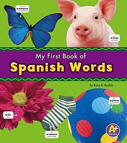 SPANISH WORDS (Paperback)