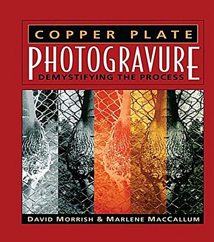 Copper Plate Photogravure : Demystifying the Process (Hardcover)