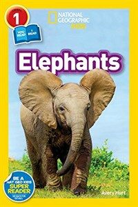 Elephants (Paperback)