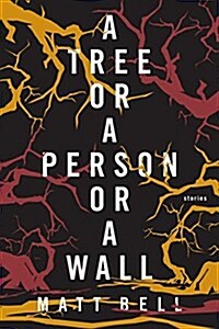 A Tree or a Person or a Wall: Stories (Paperback)