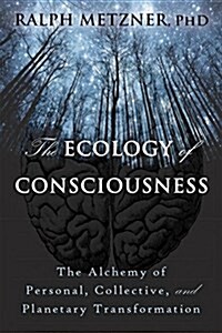 Ecology of Consciousness: The Alchemy of Personal, Collective, and Planetary Transformation (Paperback)