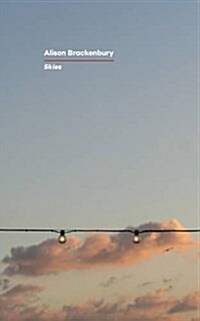 Skies (Paperback)