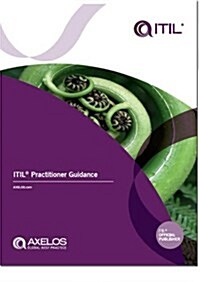 Itil Practitioner Guidance (Paperback)