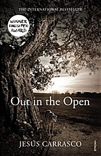 Out in the Open (Paperback)