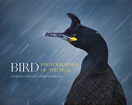 Bird Photographer of the Year (Hardcover)