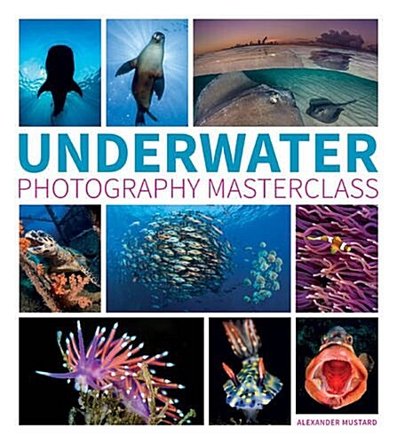 Underwater Photography Masterclass (Paperback)