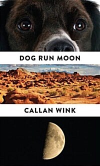 Dog Run Moon : Stories (Paperback)