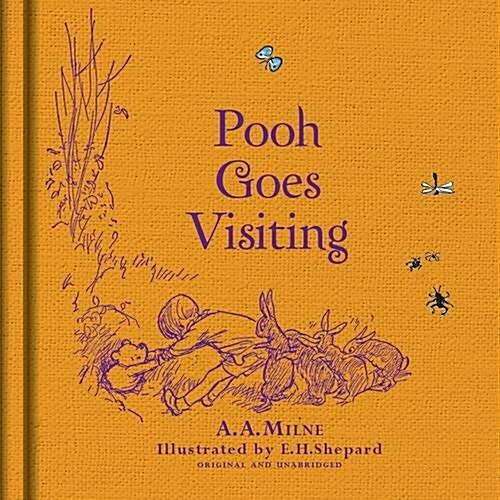 Winnie-the-Pooh: Pooh Goes Visiting (Hardcover)