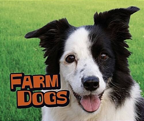 Farm Dogs (Hardcover)