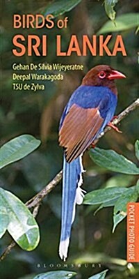 Birds of Sri Lanka (Paperback)