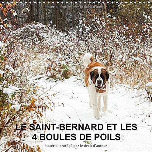 LE Saint-Bernard et les 4 Boules de Poils 2016 : Gardiennage de 5 Animaux Domestiques en Pleine Nature (Calendar)
