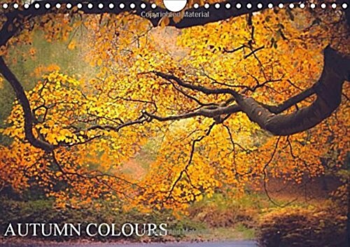 Autumn Colours 2016 : Autumn Colours of the Forest (Calendar)