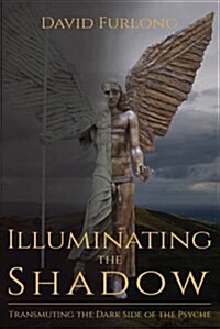 Illuminating the Shadow : Transmuting the Dark Side of the Psyche (Paperback)