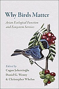 Why Birds Matter: Avian Ecological Function and Ecosystem Services (Paperback)