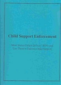 Child Support Enforcement (Paperback, Spiral)