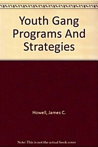 Youth Gang Programs And Strategies (Paperback)