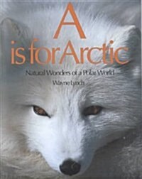 A Is for Arctic (Paperback)