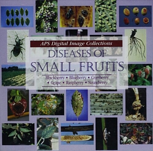 Diseases of Small Fruits (CD-ROM)