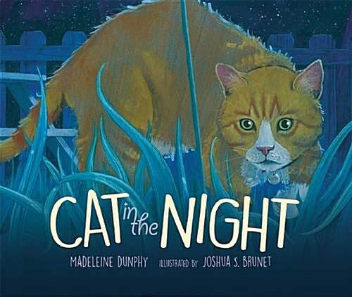 Cat in the Night (Hardcover)