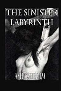 The Sinister Labyrinth (Paperback)