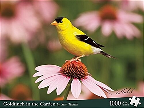 Goldfinch in the Garden (Hardcover)