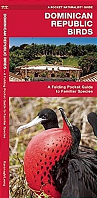 Dominican Republic Birds: A Folding Pocket Guide to Familiar Species (Other)