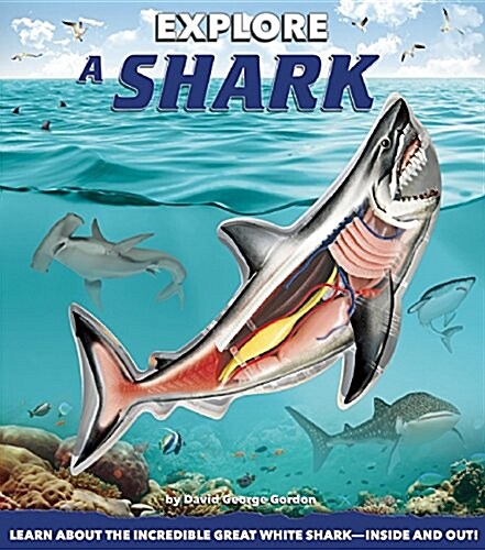Explore a Shark (Hardcover)
