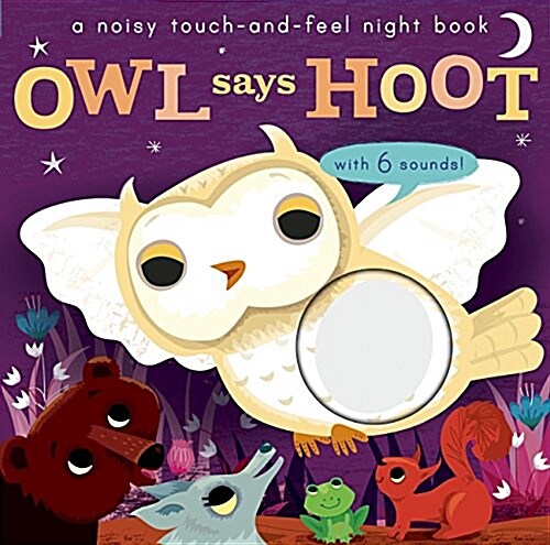 Noisy Touch and Feel: Owl Says Hoot (Board Books)